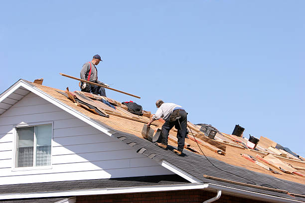 Best Skylight Installation and Repair  in Osseo, MN
